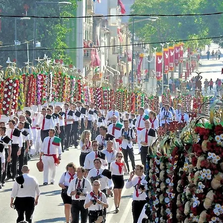 Apartmán Tomarhousing - Old Town *